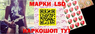 соль ск Новодвинск