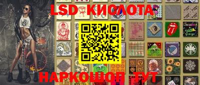 соль ск Новодвинск