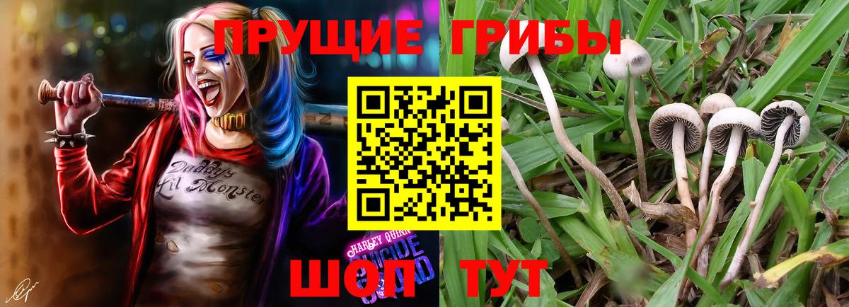 Псилоцибиновые грибы Magic Shrooms  Псилоцибиновые грибы мухоморы  Вход с VPN  Торжок 